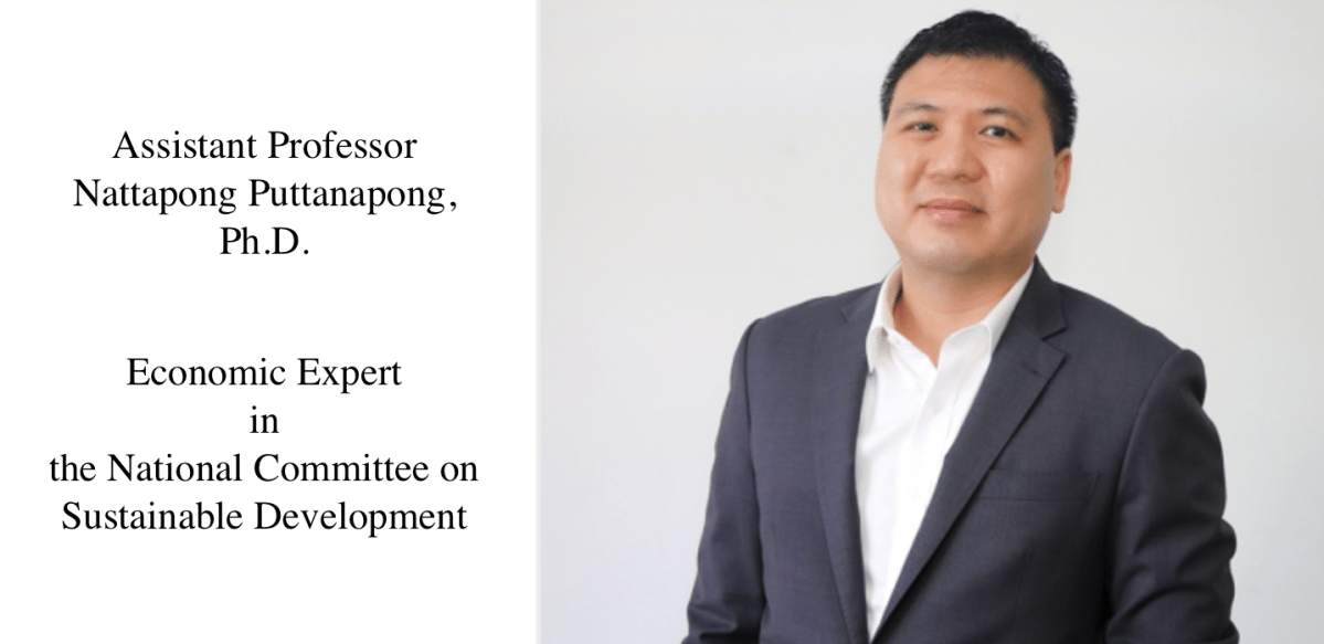 Thammasat Professor in the National Committee on Sustainable&nbsp;Development